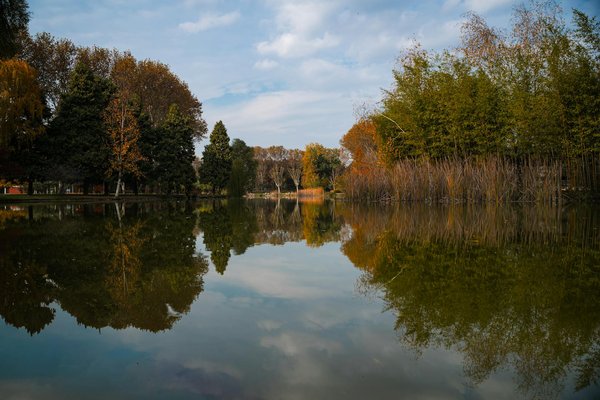 Crucial mental wellness resources for expecting teens in the uk: your complete handbook